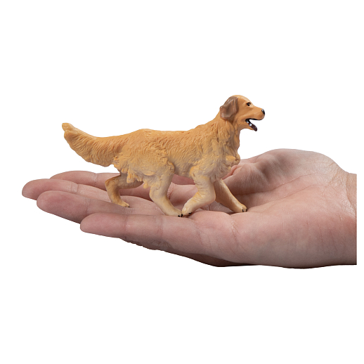 ТМ "DARWIN, Коллекционная фигурка собака "Золотистый ретривер" в/п в Джамбо Тойз #3