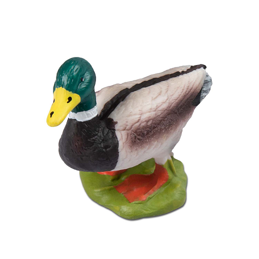 ТМ "DARWIN, Набор "Домашние птицы" 8 шт в/п в Джамбо Тойз #8