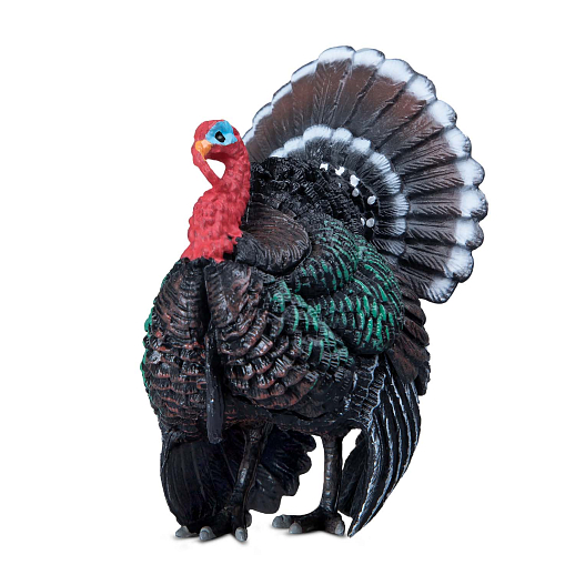 ТМ "DARWIN, Набор "Домашние птицы" 8 шт в/п в Джамбо Тойз #24