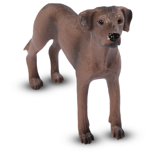 ТМ "DARWIN, Коллекционная фигурка собака "Родезийский риджбек" в/п в Джамбо Тойз