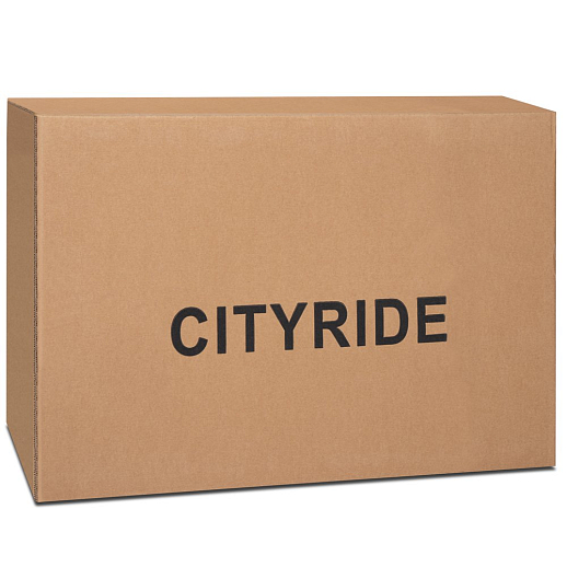 Детский трехколесный велосипед "CITYRIDE". Рама алюминий, может трансформироваться, подножки, колеса 8/7 EVA, капюшон, род. ручка,  зелено-серый в Джамбо Тойз #15