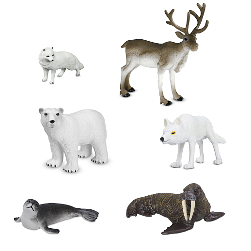 ТМ "DARWIN, Набор "Животные Севера" 6 шт в/п в Джамбо Тойз