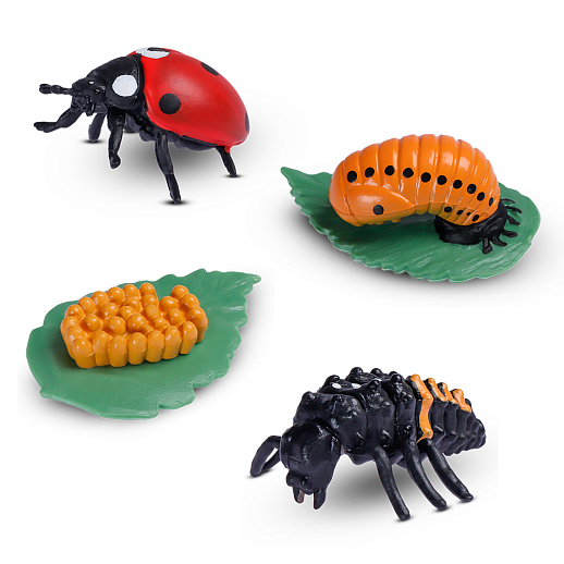 ТМ "DARWIN, Набор обучающих фигурок "Божья коровка" в/п  28х19,7х10,5 см в Джамбо Тойз