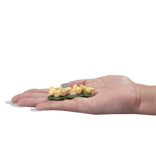 ТМ "DARWIN, Набор "Домашние птицы" 8 шт в/п в Джамбо Тойз #20