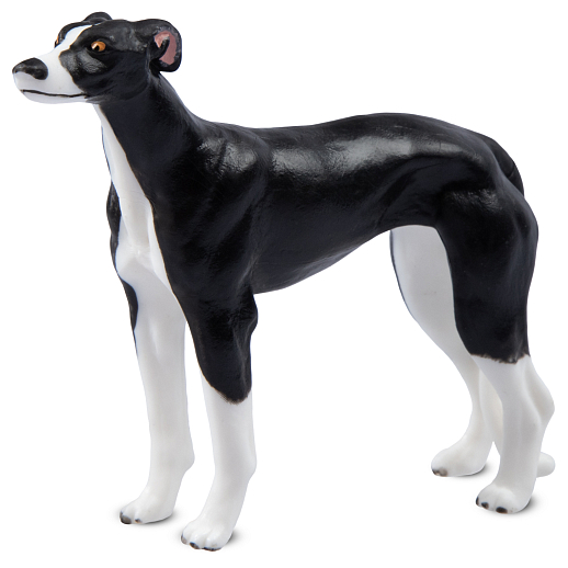 ТМ "DARWIN, Коллекционная фигурка собака "Борзая" в/п в Джамбо Тойз #3