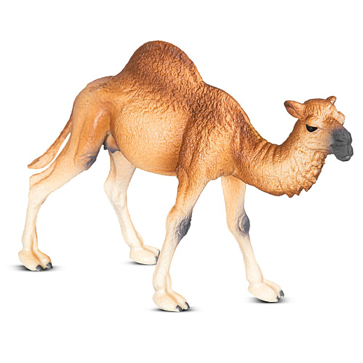 ТМ "DARWIN, Коллекционная фигурка "Одногорбый верблюд" в/п в Джамбо Тойз #3