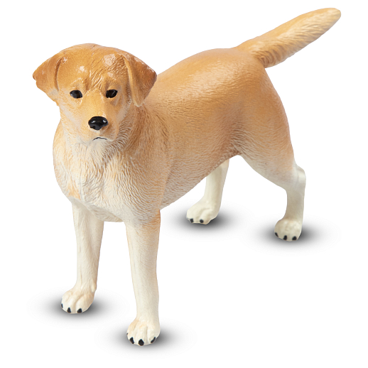 ТМ "DARWIN, Коллекционная фигурка собака "Лабрадор ретривер" в/п в Джамбо Тойз