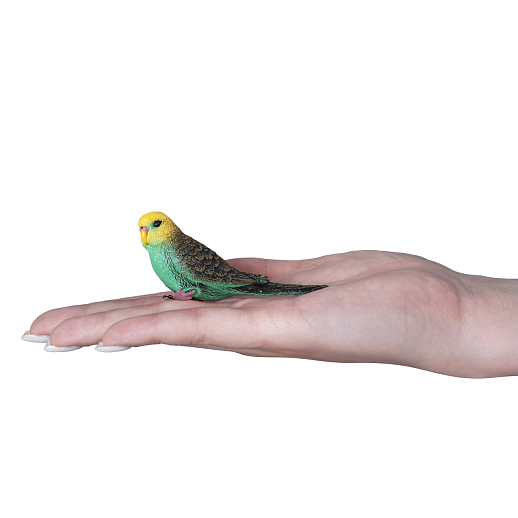 ТМ "DARWIN, Коллекционная фигурка "Зеленый волнистый попугайчик" в/п в Джамбо Тойз #2