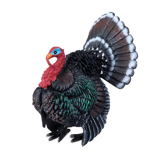 ТМ "DARWIN, Набор "Домашние птицы" 8 шт в/п в Джамбо Тойз #25