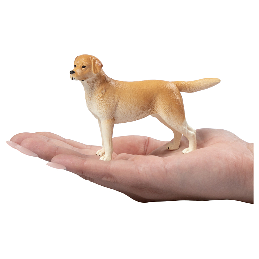 ТМ "DARWIN, Коллекционная фигурка собака "Лабрадор ретривер" в/п в Джамбо Тойз #3