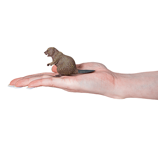 ТМ "DARWIN, Коллекционная фигурка "Бобер" в/п в Джамбо Тойз #2