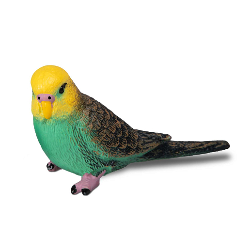 ТМ "DARWIN, Коллекционная фигурка "Зеленый волнистый попугайчик" в/п в Джамбо Тойз