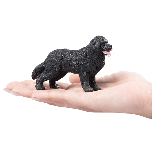 ТМ "DARWIN, Коллекционная фигурка собака "Ньюфаундленд" в/п в Джамбо Тойз #3