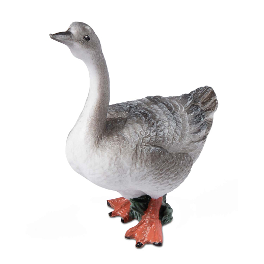 ТМ "DARWIN, Набор "Домашние птицы" 8 шт в/п в Джамбо Тойз #4