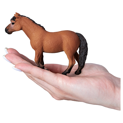 ТМ "DARWIN, Коллекционная фигурка "Дартмурский пони" в/п в Джамбо Тойз #3