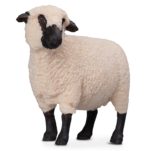 ТМ "DARWIN, Коллекционная фигурка "Шропширская овца" в/п в Джамбо Тойз #3