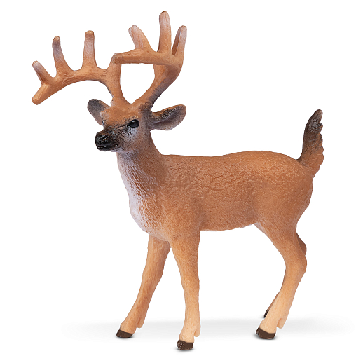 ТМ "DARWIN, Коллекционная фигурка "Белохвостый олень" в/п в Джамбо Тойз