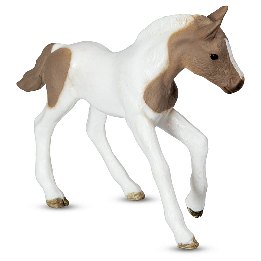 ТМ "DARWIN, Коллекционная фигурка "Лошадь пинто" в/п в Джамбо Тойз