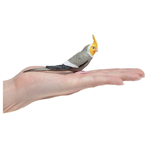 ТМ "DARWIN, Коллекционная фигурка "Попугай корелла", в/п 9,5*2,4*4,8 см в Джамбо Тойз #2