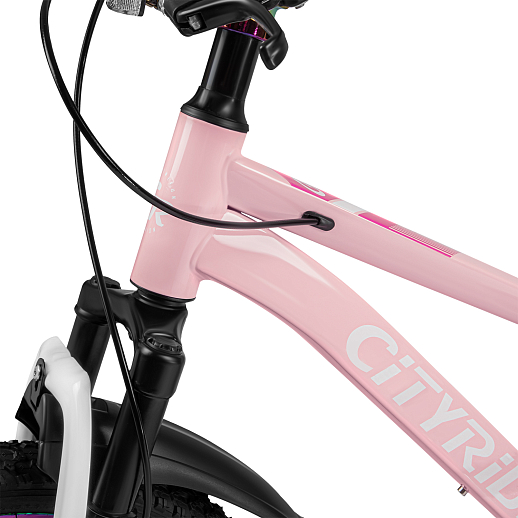 Велосипед CITYRIDE 20", модель CR-B2-12F2, рама сталь, обода двойные алюминий, амортизационная вилка, дисковые меха. Тормоза, цвет розовый в Джамбо Тойз #9