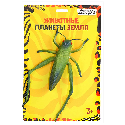 Игрушка "Кузнечик" ТМ "КОМПАНИЯ ДРУЗЕЙ", серия "Животные планеты Земля", на подложке, 20*2*30,5 в Джамбо Тойз