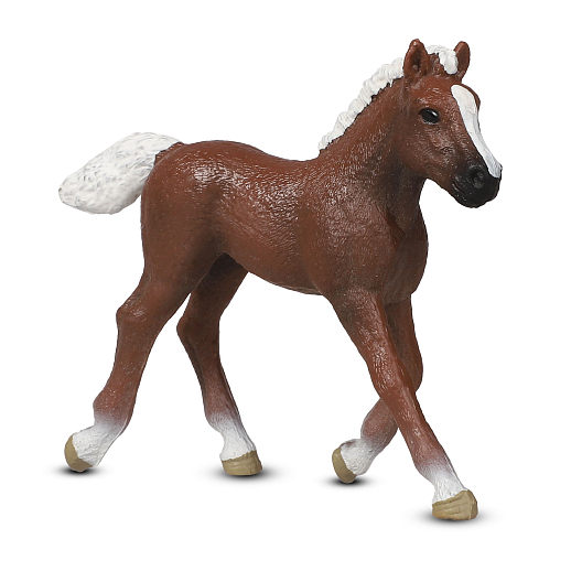 ТМ "DARWIN, Коллекционная фигурка "Жеребенок Перуанский пасо" в/п, 9*2*7,5 см в Джамбо Тойз