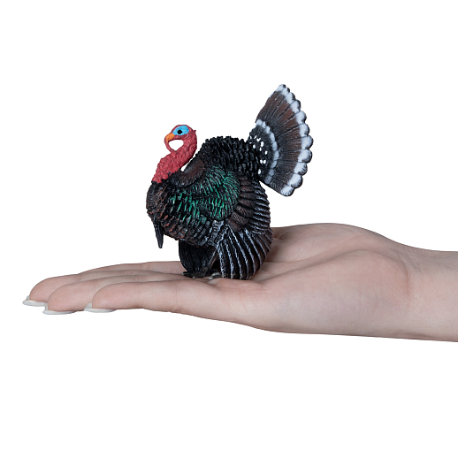 ТМ "DARWIN, Набор "Домашние птицы" 8 шт в/п в Джамбо Тойз #16