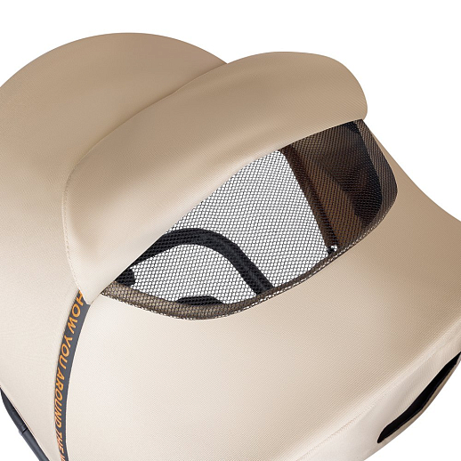 Трехколесные велосипед CITYRIDE, металл,  колеса PVC 12"/10", попрот. наколон. Сиденье с крышей,  род ручка, наклон руль, функц. фара, тормоз, корзинка в Джамбо Тойз #8