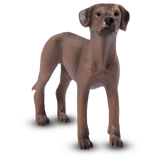 ТМ "DARWIN, Коллекционная фигурка собака "Родезийский риджбек" в/п в Джамбо Тойз #2