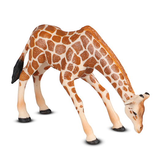 ТМ "DARWIN, Коллекционная фигурка  "Жираф", в/п 13,5*5,5*9 см в Джамбо Тойз