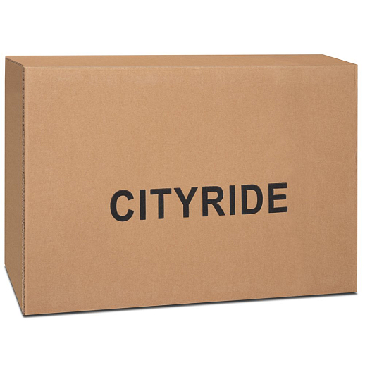 Детский трехколесный велосипед "CITYRIDE". Рама алюминий, может трансформироваться, подножки, колеса 8/7 EVA, капюшон, род. ручка,  серый в Джамбо Тойз #15