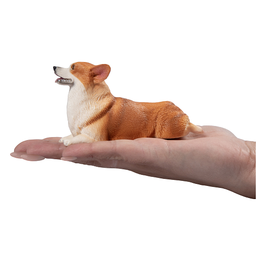 ТМ "DARWIN, Коллекционная фигурка  собака "Корги" в/п в Джамбо Тойз #4