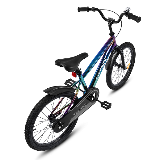 Велосипед двухколесный CITYRIDE, модель CR-B2-07J, колеса 20", рама сталь, обода сталь, цвет анодровка-чёрный в Джамбо Тойз #2