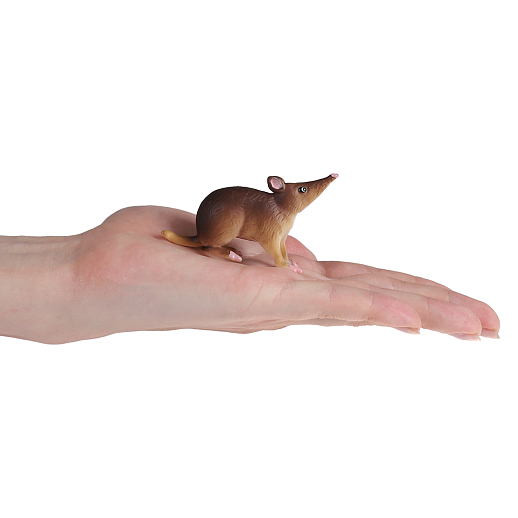 ТМ "DARWIN, Коллекционная фигурка  "Землеройка", в/п 5,8*1,5*3,5 см в Джамбо Тойз #3