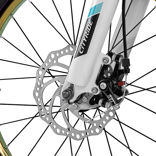 Велосипед CITYRIDE 20", модель CR-B2-12F2, рама сталь, обода двойные алюминий, амортизационная вилка, дисковые мех. тормоза цвет серый в Джамбо Тойз #9